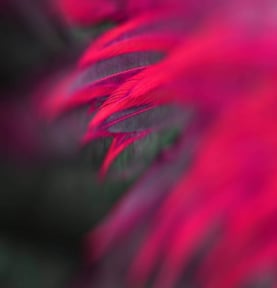 Resilience_Insight_Abstract-desktop