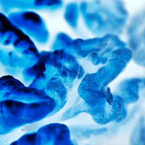 Resources_web_images_Norgine